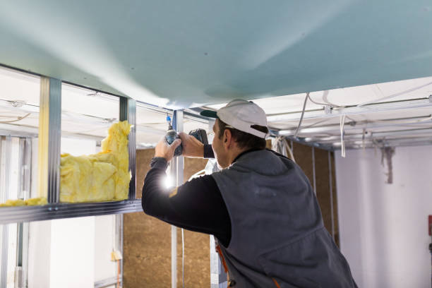 Best Insulation Contractor Near Me  in Hudson, NC
