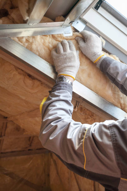 Best Blown-in Insulation  in Hudson, NC