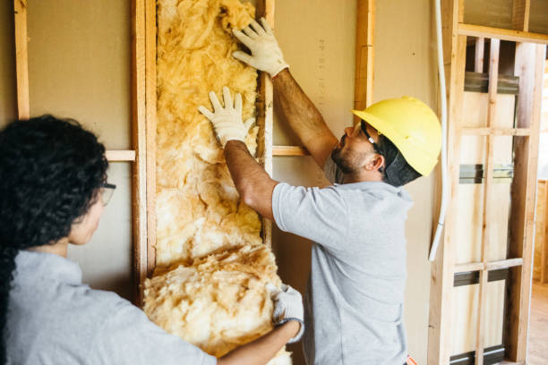 Best Local Insulation Services  in Hudson, NC