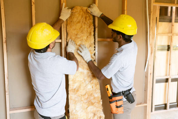 Insulation Repair Services in Hudson, NC