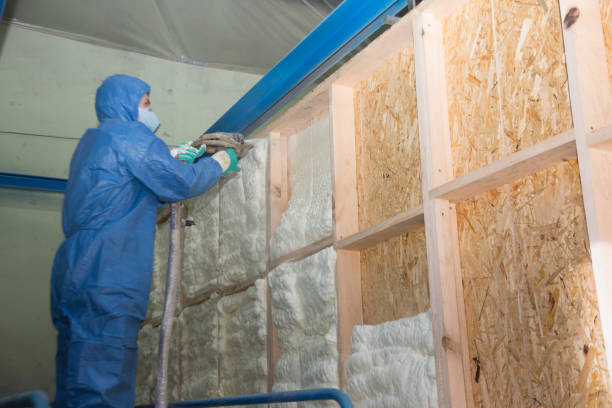 Best Soundproof Insulation Installation  in Hudson, NC
