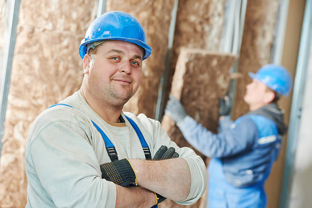 Best Cellulose Insulation  in Hudson, NC