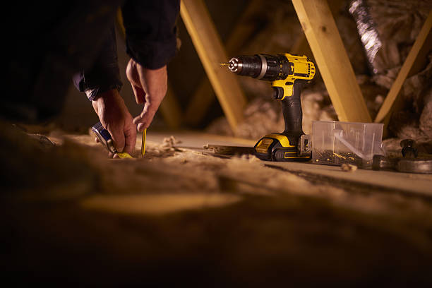Best Insulation Removal  in Hudson, NC