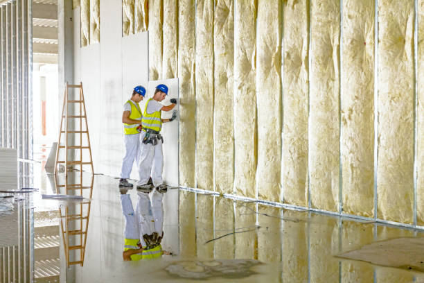 Best Cellulose Insulation  in Hudson, NC